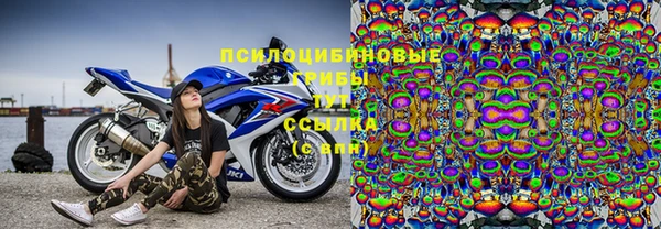 гашиш Богданович