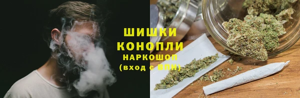 гашиш Богданович