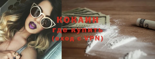 твердый Богородицк