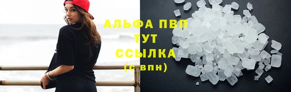 MESCALINE Бородино