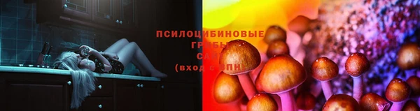 твердый Богородицк