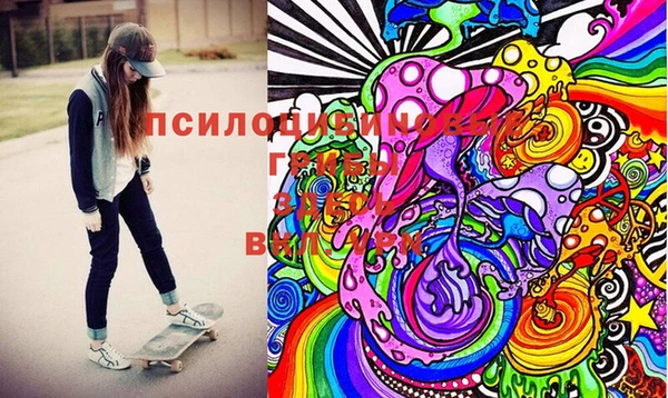 гашиш Богданович